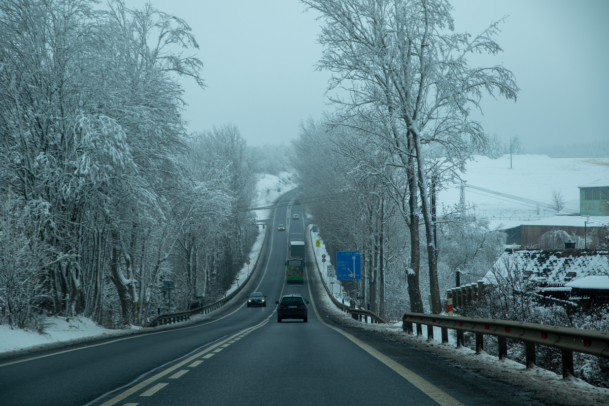 Czech regional road in winter with snow-covered trees lining both sides, cars and bus driving on wet road through misty Bohemian landscape, February 2026