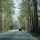 Quiet Czech secondary road winding through tall pine and oak forest with light traffic and a black Toyota Corolla Cross with Czech plates ahead, no vignette required on this class of road, late winter scene with bare deciduous trees, February 2026