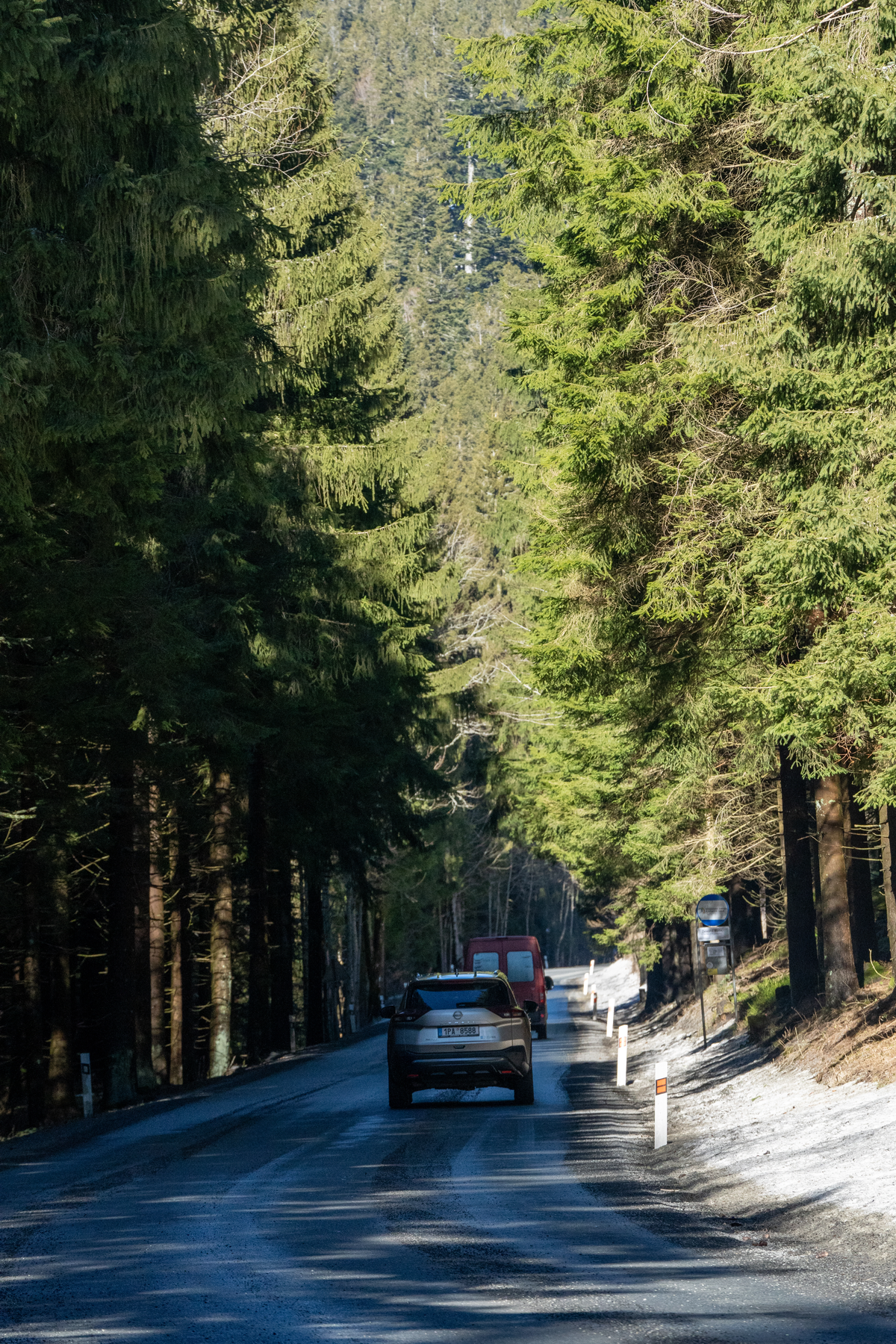 Quiet Czech forest road winding through dense spruce trees in Šumava National Park area with a beige Nissan X-Trail and red van driving ahead, vignette-free secondary road in the Plzeň region of west Bohemia near the German border, late winter, February 2026